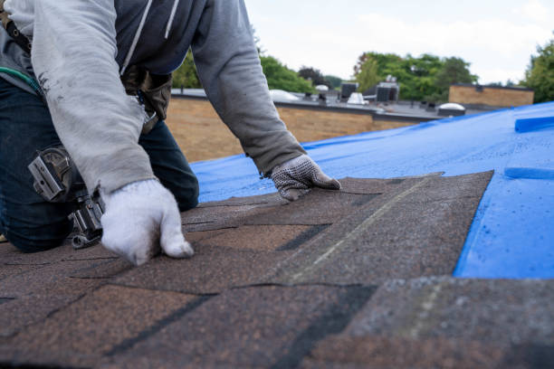 Best Roof Waterproofing Services  in Lofall, WA