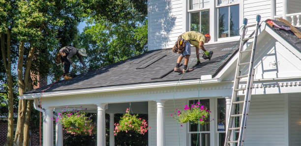 Best Roof Gutter Cleaning  in Lofall, WA