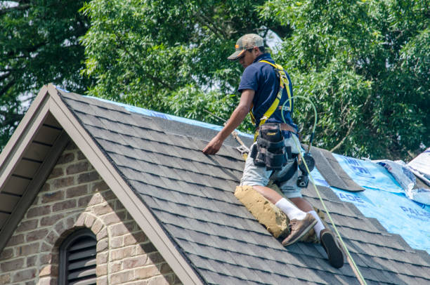 Best Roof Maintenance Services  in Lofall, WA