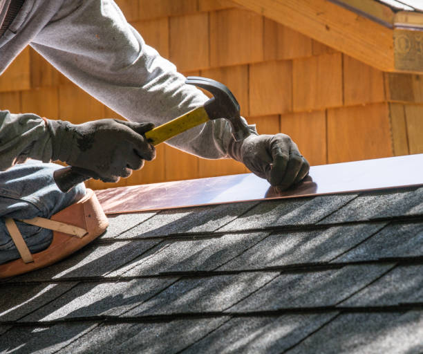 Best Roof Gutter Cleaning  in Lofall, WA